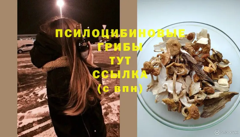 Галлюциногенные грибы MAGIC MUSHROOMS  Зарайск 